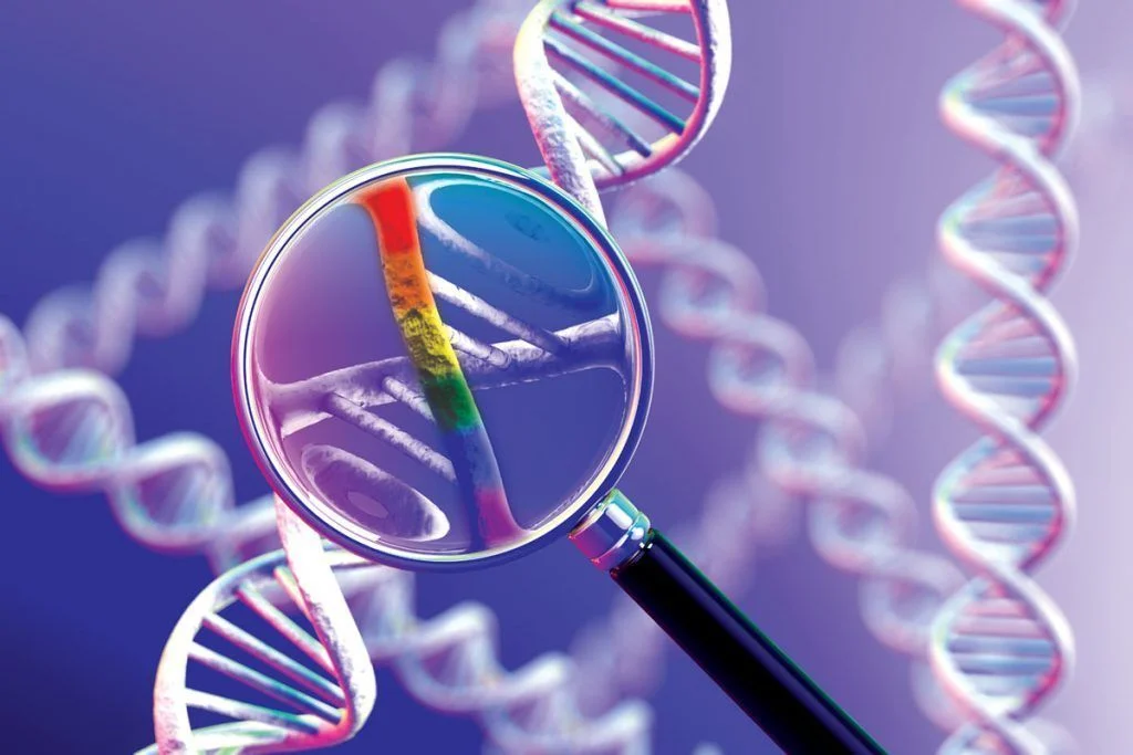 Único gene gay não existe, de acordo com análise de DNA