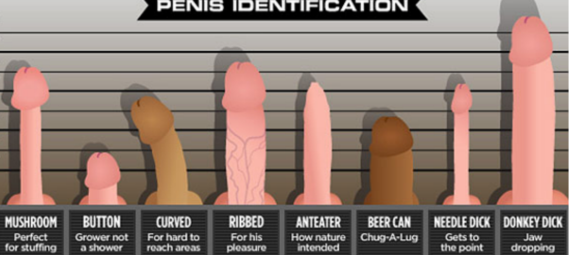 Tamanho do pau importam segundo as Atrizes pornô